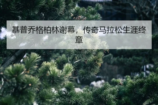 ji-pu-qiao-ge-bo-lin-xie-mu-chuan-qi-ma-la-song-sheng-ya-zhong-zhang-2-164.jpg